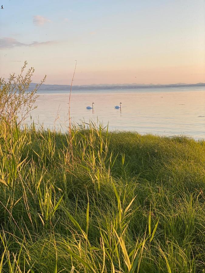 Ferien-Apartment Eisvogel Im Naturschutzgebiet Mit Privatstrand FDH Εξωτερικό φωτογραφία