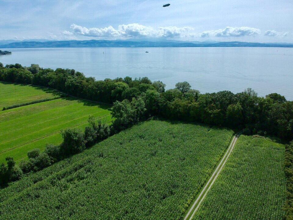 Ferien-Apartment Eisvogel Im Naturschutzgebiet Mit Privatstrand FDH Εξωτερικό φωτογραφία