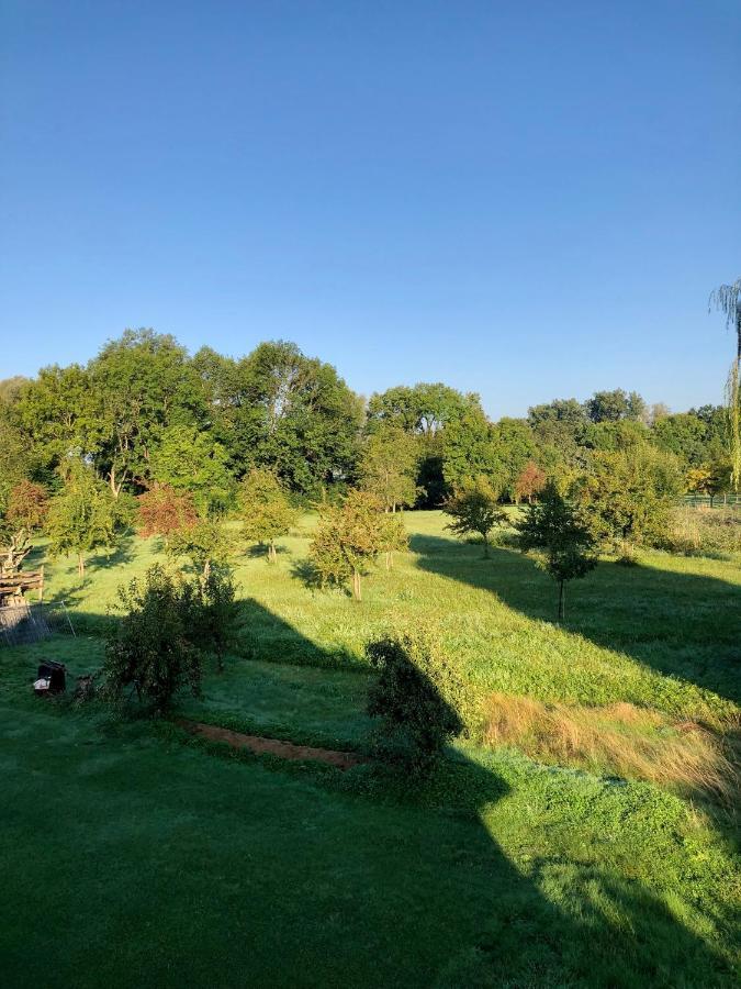 Ferien-Apartment Eisvogel Im Naturschutzgebiet Mit Privatstrand FDH Εξωτερικό φωτογραφία